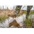 Черевики Salomon XA Forces JUNGLE Coyote Фото 4